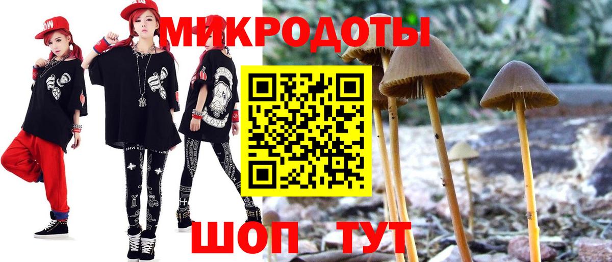 Галлюциногенные грибы мухоморы Рославль