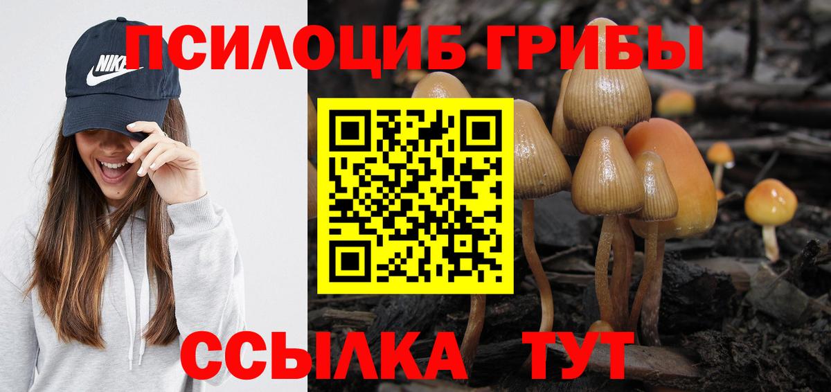 Псилоцибиновые грибы MAGIC MUSHROOMS  Галлюциногенные грибы Psilocybe  Рославль  Вход с VPN 